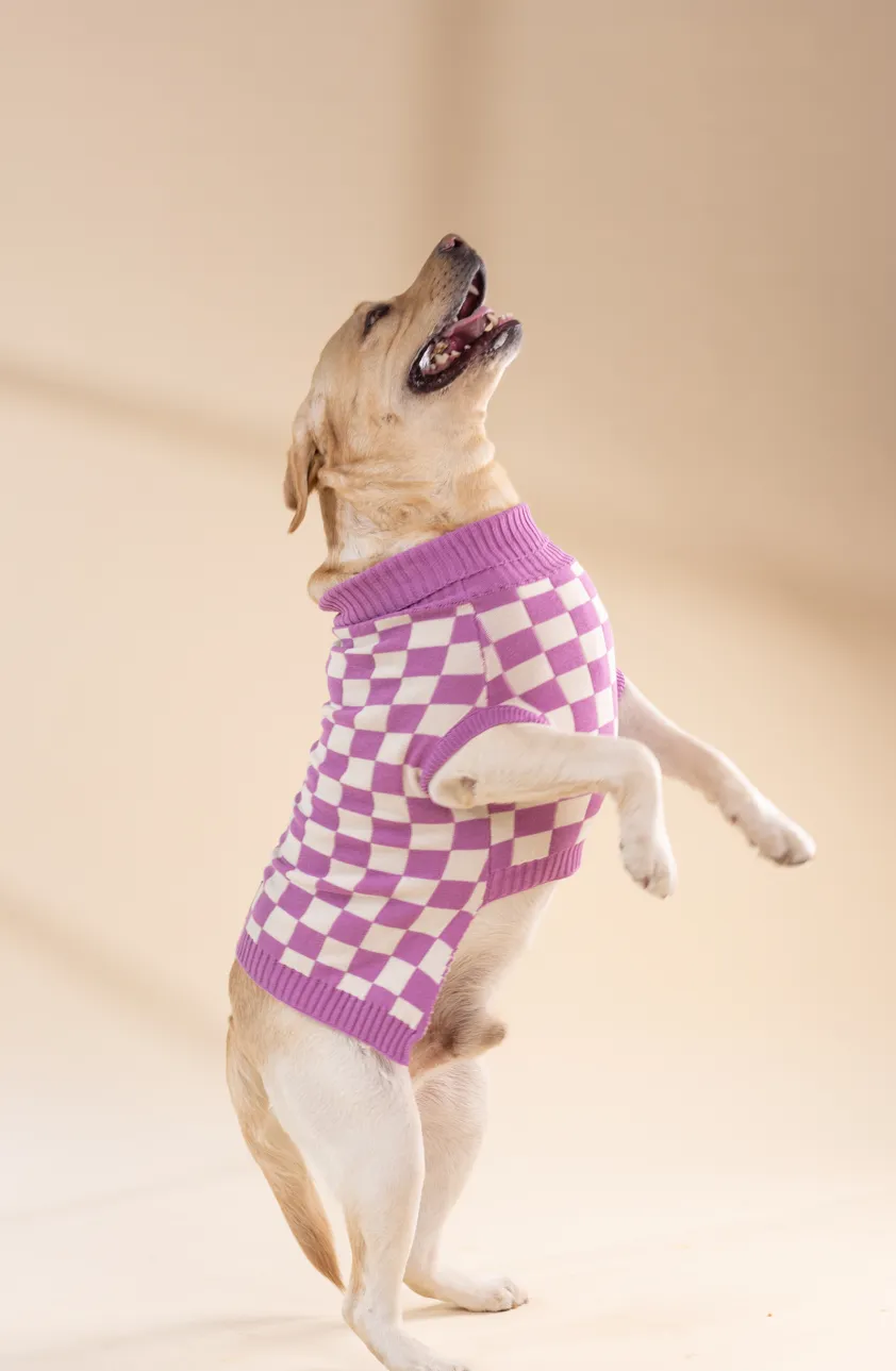 I'm Checksy and I Know it Sweater