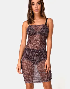 Leruchi Bodycon Dress in Rar Leopard Mesh